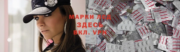 индика Горно-Алтайск