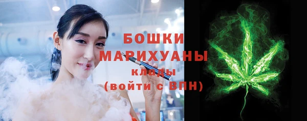 индика Горно-Алтайск