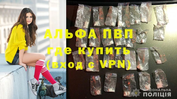 индика Горно-Алтайск