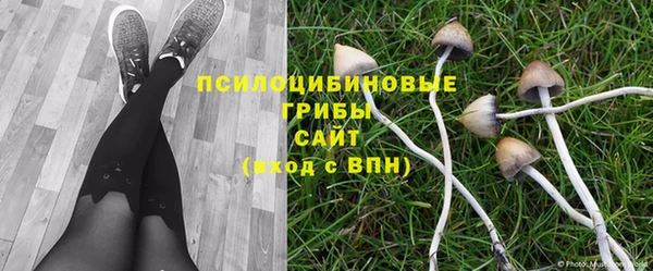 MESCALINE Горняк