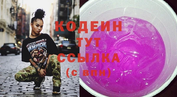 индика Горно-Алтайск