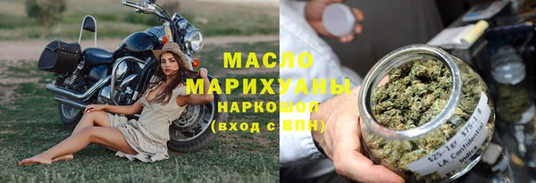 индика Горно-Алтайск