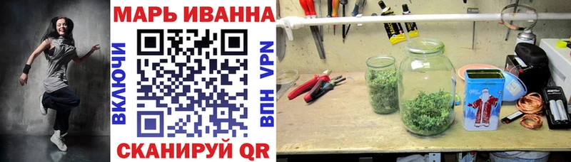 Каннабис гибрид  Моздок 